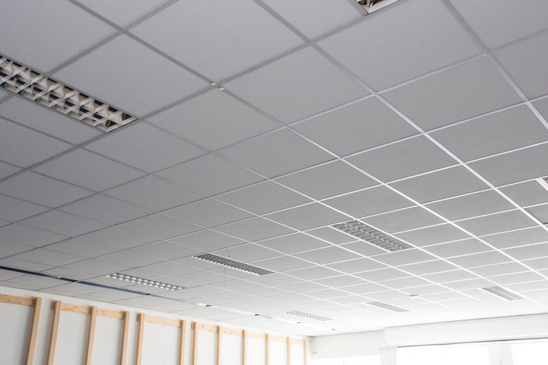 Grid Ceiling Installation in Longmont, CO
