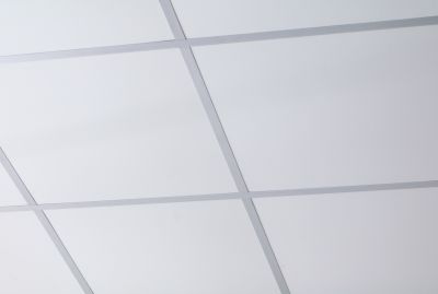 Design Customization